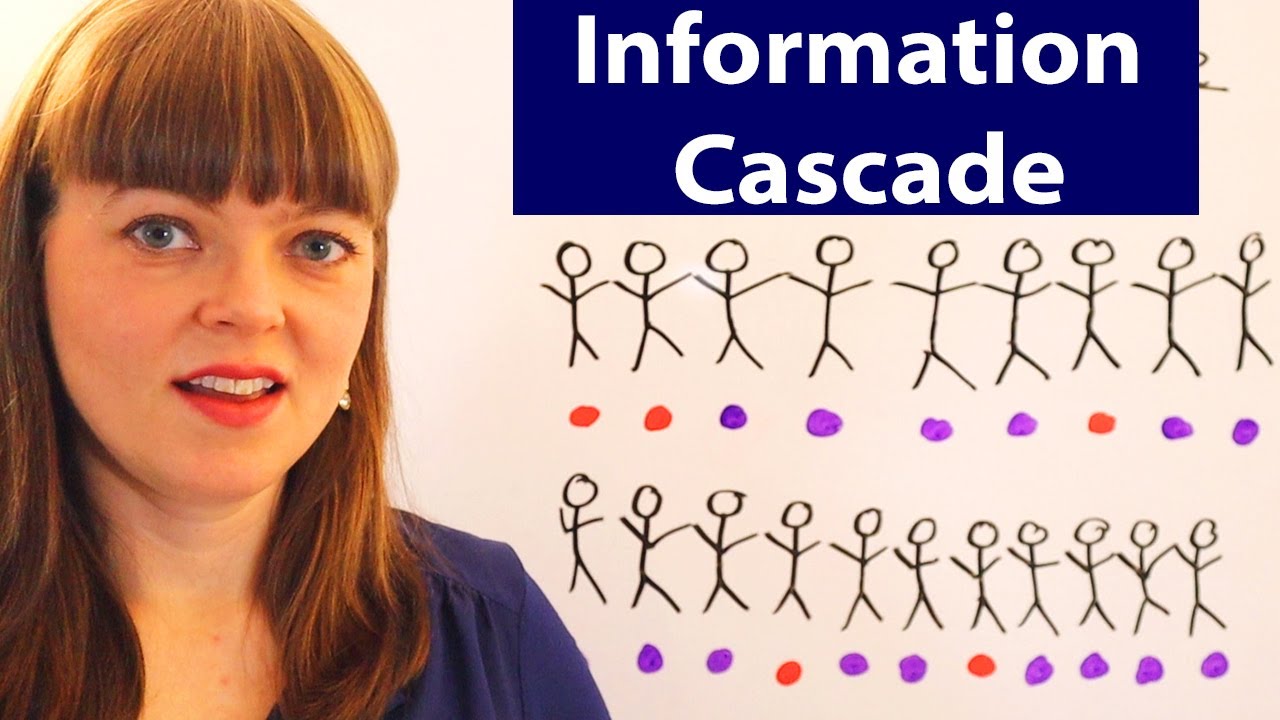 Information Cascades